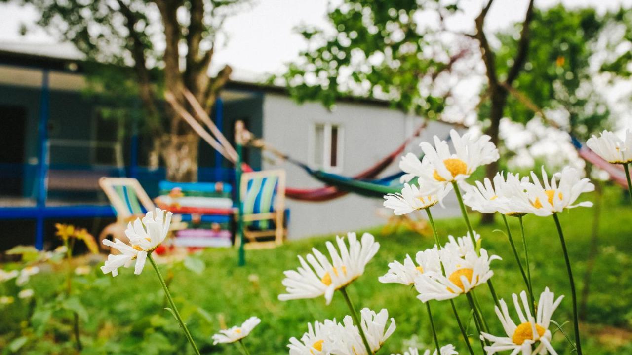 Bebo Babu Guest House Kutaisi Dış mekan fotoğraf